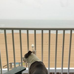 Meet your Posher, Joe